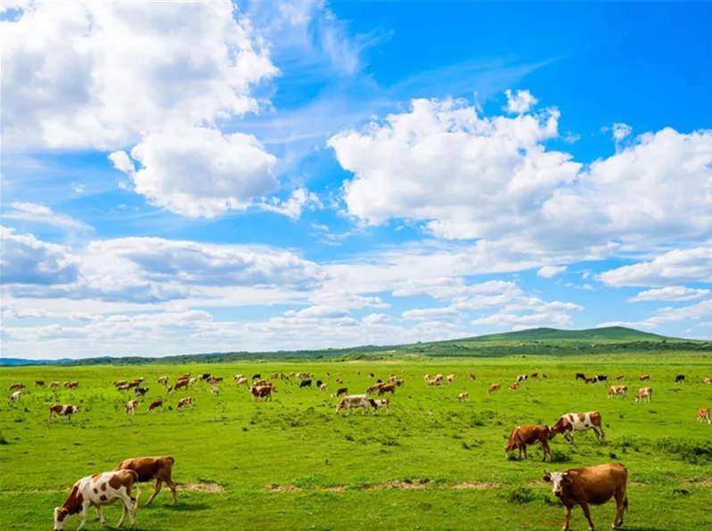 内蒙古发展探讨，观点解析与未来发展展望