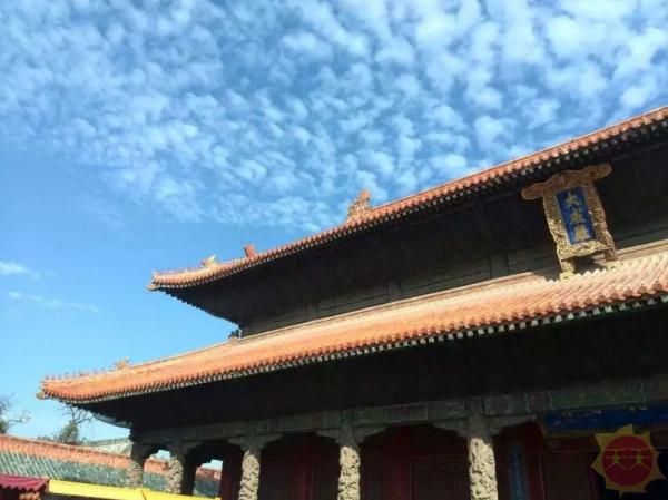 山东播音稿，传承文化，声动齐鲁