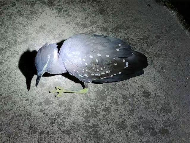 海南热带风情,无限商机等你来探索