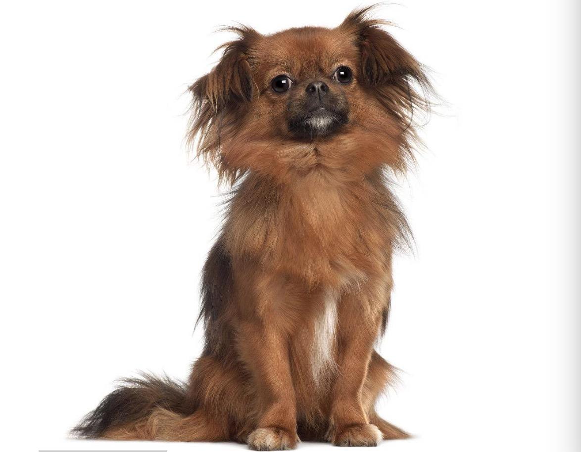 西藏,神秘高原的彩虹世界🌈