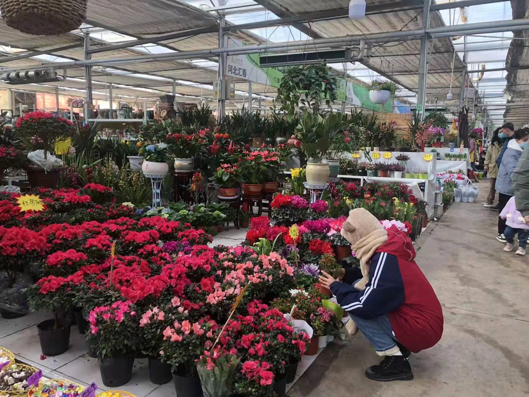 石家庄,友情与家的温馨日常故事