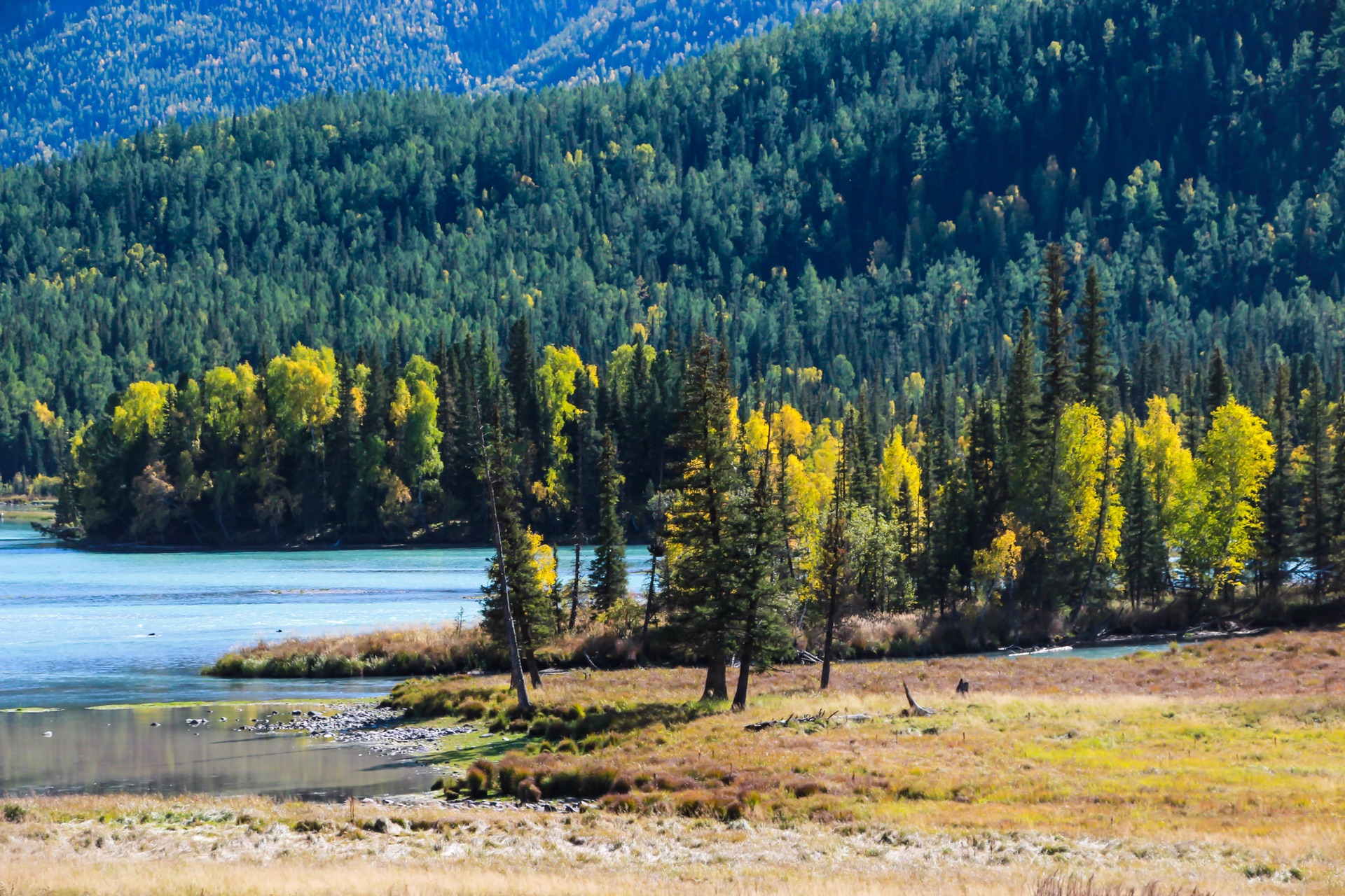 新疆科技新风尚，未来已来，新疆高科技产品引领生活变革