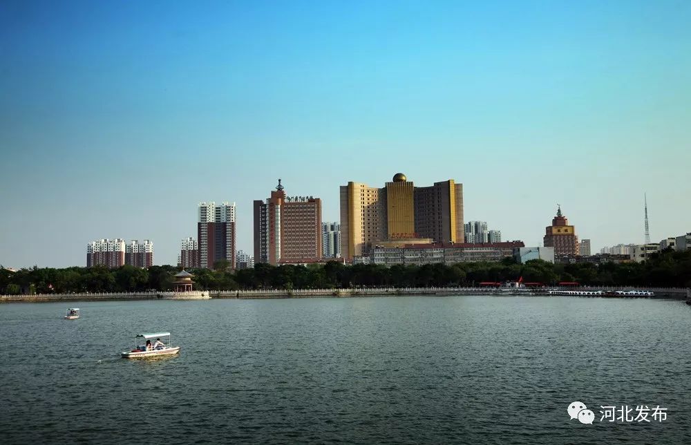 沧州,深度解读与评论文章