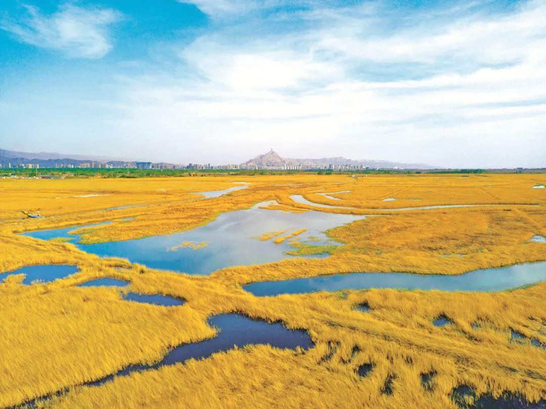 乌海,沙漠中的璀璨明珠之城